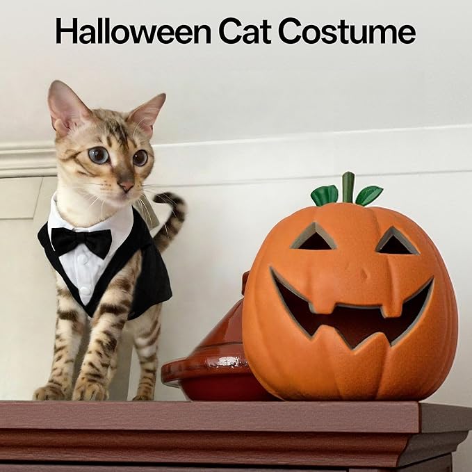 PUMYPOREITY Cat Tuxedo Suit Formal Wear with Bow Tie, Soft Skin-Friendly Cat Costumes for Cats Only, Elegant Outfit for Male Female Cats, Perfect for Wedding Birthday Photo Shoots, 2XL, Black