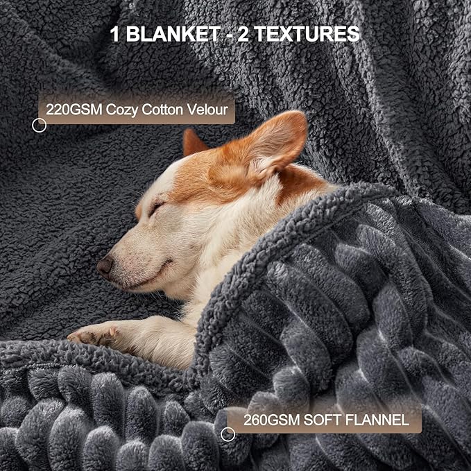 Waterproof Dog Blanket for Large Dogs, Washable Soft Puppy Cat Blanket Flannel Cotton Velour for Sofa Couch Protector, Comfort & Security Reversible Bed Protection for Pet, 60"X80", Gray