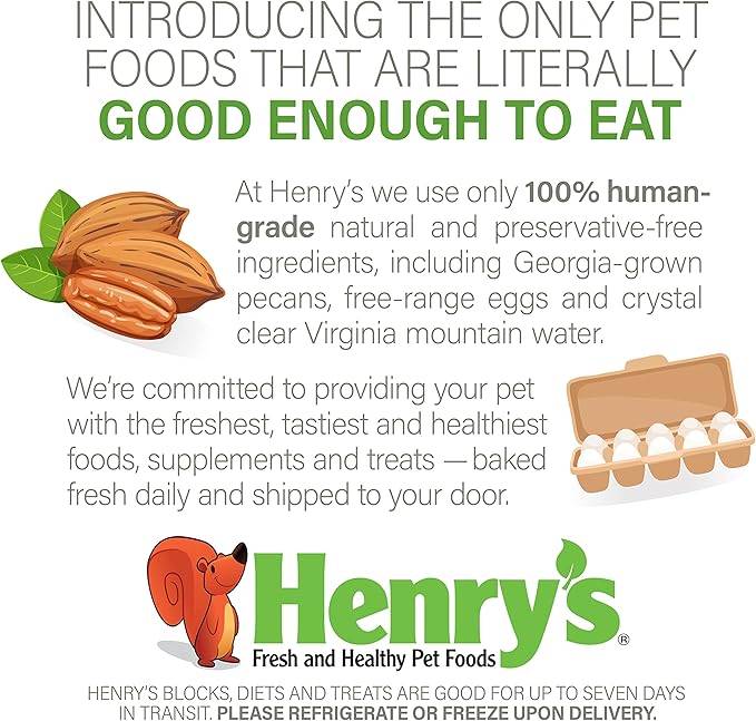 Henry's Picky Blocks - Nutritionally Complete Rodent Blocks – Food for Squirrels, Flying Squirrels, and Chipmunks, 11 Ounces (2-Pack)