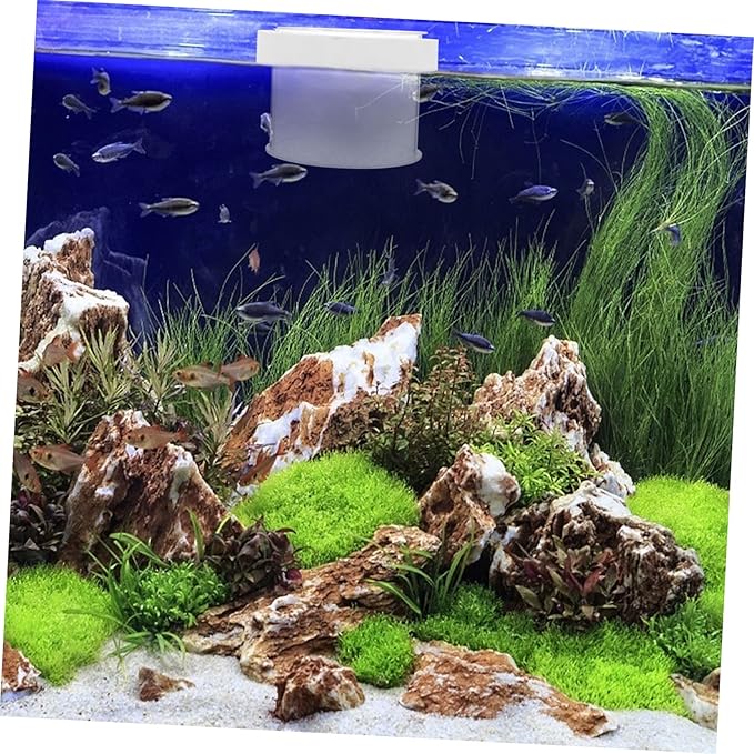 NOLITOY 2pcs Fish Tank Floating Breeding Box Acrylic Isolation Container Openable Lid Water Permeable Design for Small Fish and Shrimp for Aquatic Hatchery