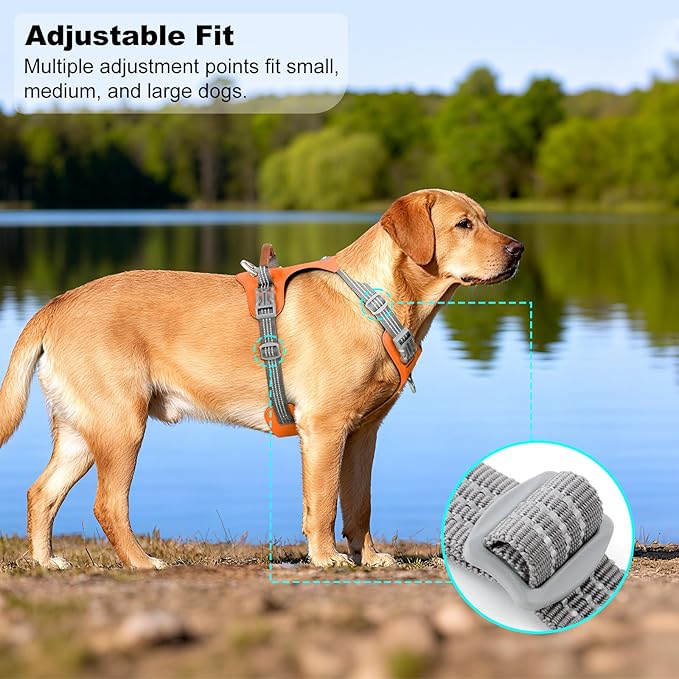 No Pull Dog Harness – Adjustable Reflective Nylon Vest for Small Medium Large Dogs, Escape Proof Training Harness with Leather Control Handle, Lightweight Aluminum Hardware (Orange, M)