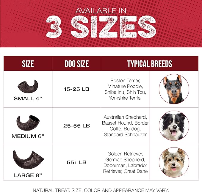 Water Buffalo Horn Dog Chew 4 Pack - Small 4" - All Natural Free Range Grass Fed Single Source Protein - No Chemicals, Additives, Hormones - Long Lasting, Good for Aggressive Chewers – by Fang & Claw