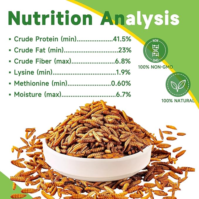 5LB Dried Black Soldier Fly Larvae Treat for Chicken, Non-GMO More Calcium Than Dried Mealworms 100% Natural High Protein Chicken Feed for Wild Birds, Layer Hens