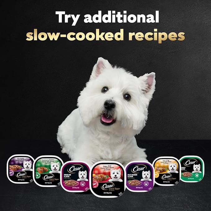 Cesar Loaf & Topper in Sauce Wet Dog Food, Ham & Egg Flavor with Potato & Cheese, Wet Food for Dogs, 3.5 oz Easy Peel Trays, 24 Count