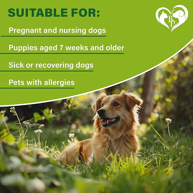 Natural Flea & Tick Repellent Collar for Dogs – Plant-Based, Waterproof, 6-Month Pest Protection – Adjustable, Safe (1 Pack, 2 Count)