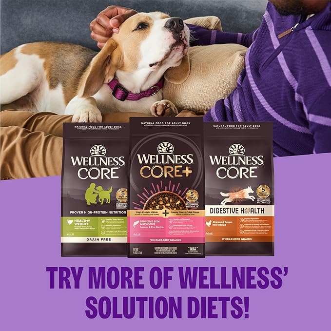 Wellness CORE Healthy Weight Small Breed Adult Dry Dog Food, Grain Free Kibble, Natural, High Protein, Turkey and Chicken Recipe, 4 lb Bag