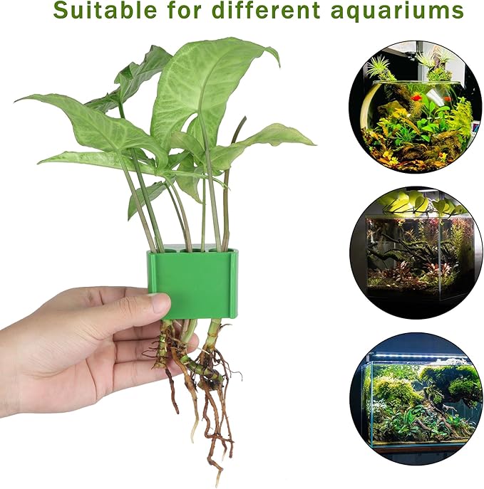 3 Holes Upgraded Aquatic Plant Cup Aquarium Plant Holder for Tank,Aquascape Accessories Decorations- Green 2 Pcs