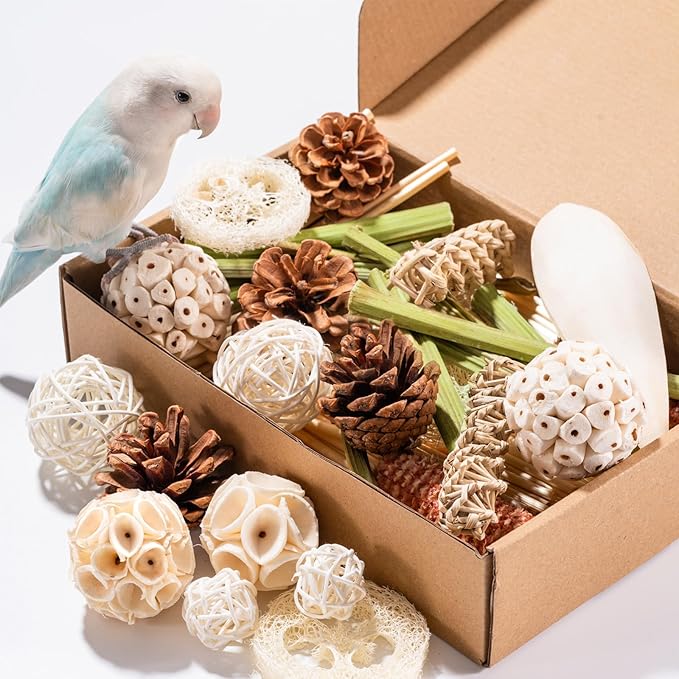 40 Pcs Bird Parrot Toys, Natural Bird Foraging Toy for Cockatiels, Lovebirds, Budgies, Small to Medium Parrot