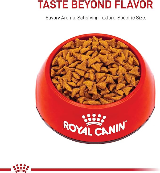 Royal Canin Feline Care Nutrition Hairball Care Adult Dry Cat Food, 3 lb Bag
