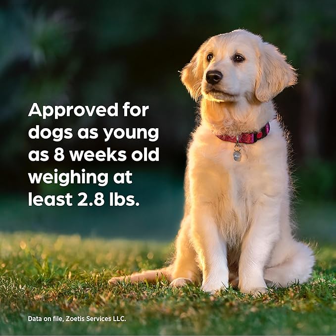 Simparica Trio (sarolaner, moxidectin, and pyrantel chewable Tablets) Chewables for Dogs, 3 mg/tab, 2.8-5.5 lbs, (Gold), 6 Tablets