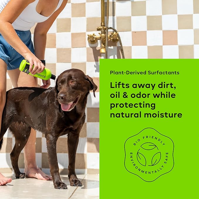 Nonaste Aloe Glow Premium Dog Shampoo (16 Oz, Pack of 2) – Deep-Clean & Odor-Neutralizing Dog Wash with USDA Certified Organic Aloe & Oatmeal | for Sensitive Skin, Soft Shiny Coat, Light Fresh Scent