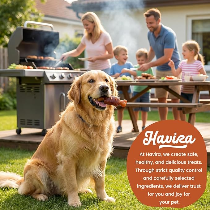 Havira BBQ Dog Treats Ham Bone 12 Count, Grill-Shaped Rawhide Free Dog Chews Bone, Easily Digestible, for All Life Stages