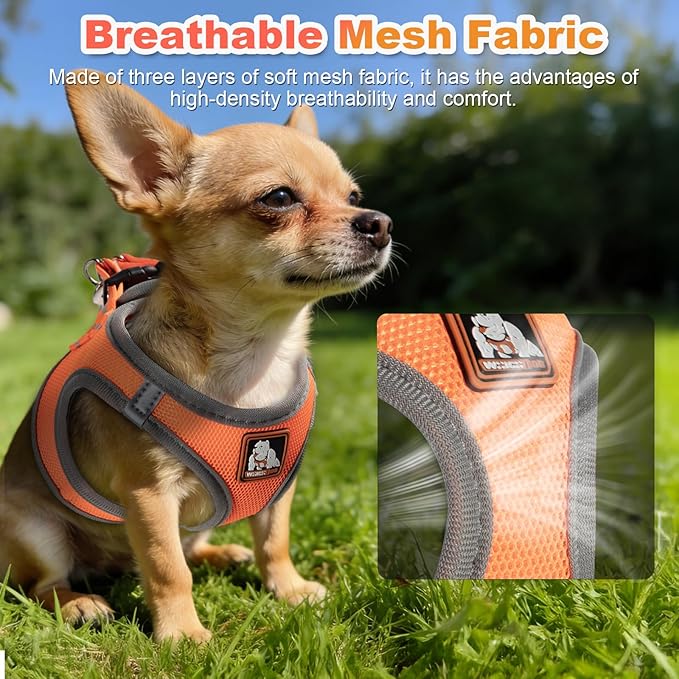 Dog Harness Medium Sized Dogs, Puppy Harness and Leash Set for Training, Running, Walking, Suitable for Small and Medium Dog Vest, Orange, M