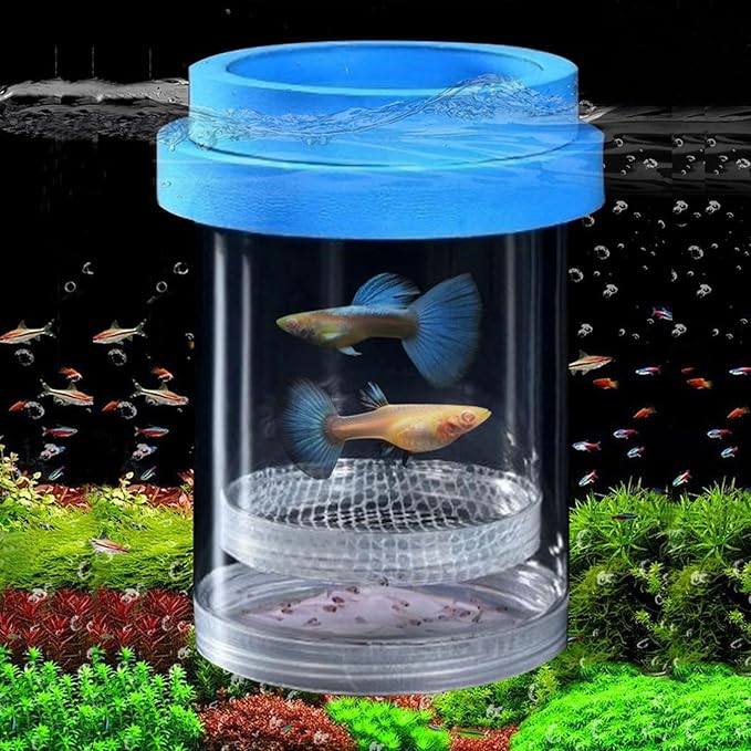 Breeder Box for Fish Tank, Plastic Aquarium Breeding Chamber, Floating Mesh Isolation Hatchery Incubator for Small Fish, Betta Shrimp Clownfish Guppy - Adjustable Nursery Tank Divider (Blue,Large)