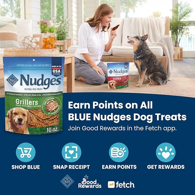 Blue Buffalo Nudges Homestyle Natural Dog Treats Chicken and Pork, 18-oz Bag