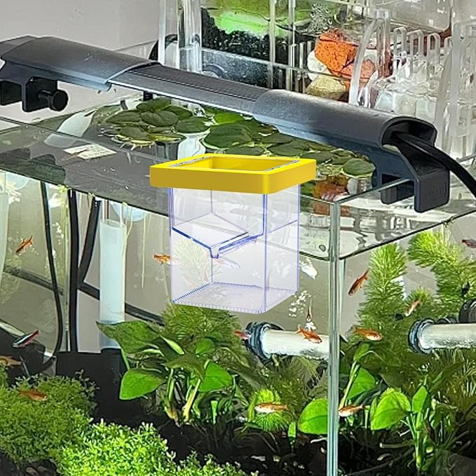 Floating Breeder Box Acrylic Incubator for Shrimp Baby, Egg