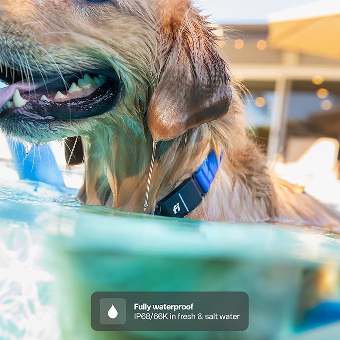 New Fi Series 3+ Smart Dog Tracker Collar [6 Month Membership Included] GPS Tracker for Dogs with Health & Behavior Monitoring, Escape Alerts, Waterproof, LED, Apple Watch Compatible (Blue, Small)