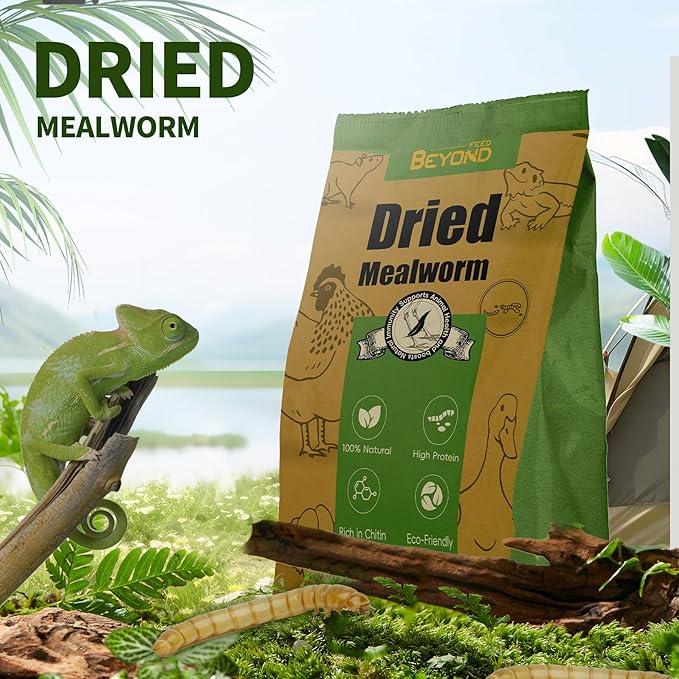 BeyondFeed™Small Bottle Dried Mealworms & Black Soldier Fly Larvae High-Protein Feed for Chickens, Ducks, Birds, Reptiles, Fish, Hamster, Turtles (6 (1.23 oz/35 g) Bottles Bundle, Dried Mealworm)
