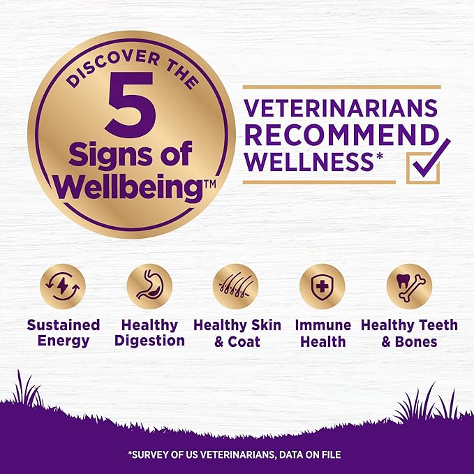 Wellness Complete Health Adult Dry Dog Food, Wholesome Grain Kibble, Natural, Lamb and Barley Recipe, 5 lb Bag