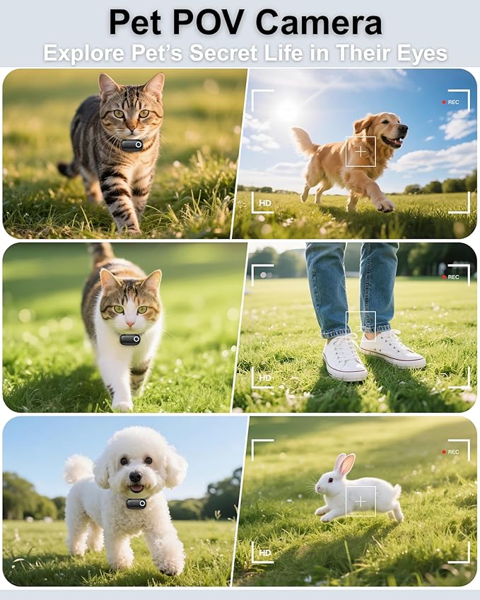 Dog & Cat Camera Collar, 1080P HD Video Recording Pet POV Cam for Medium Dogs & Large Cats, M-Size, Rechargeable Mini Action Camera with USB Playback on PC