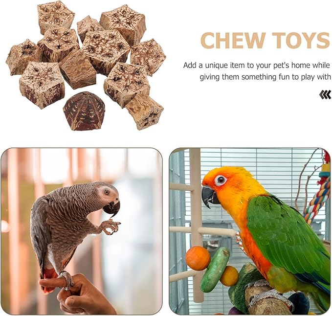 12pcs Natural Parrot Chewing for Budgie Parakeet Bird Foraging Accessories with Crunchy Texture Healthy Beak Grinding to Prevent Furniture Damage and Loneliness