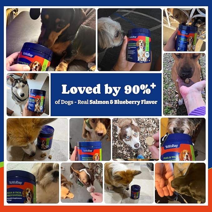 Flea and Tick Prevention for Dogs Chewable - 180 Soft Chews, Salmon & Blueberry Flavor - Dog Flea and Tick Treatment Chewable, Natural Defense- Dog Immune Support Supplement