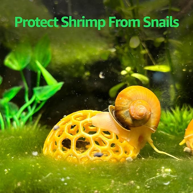 Shrimp Dome Hide - Aquarium Cherry Shrimp Hide - CTWPets Cherry Shimpe Hide (Black)