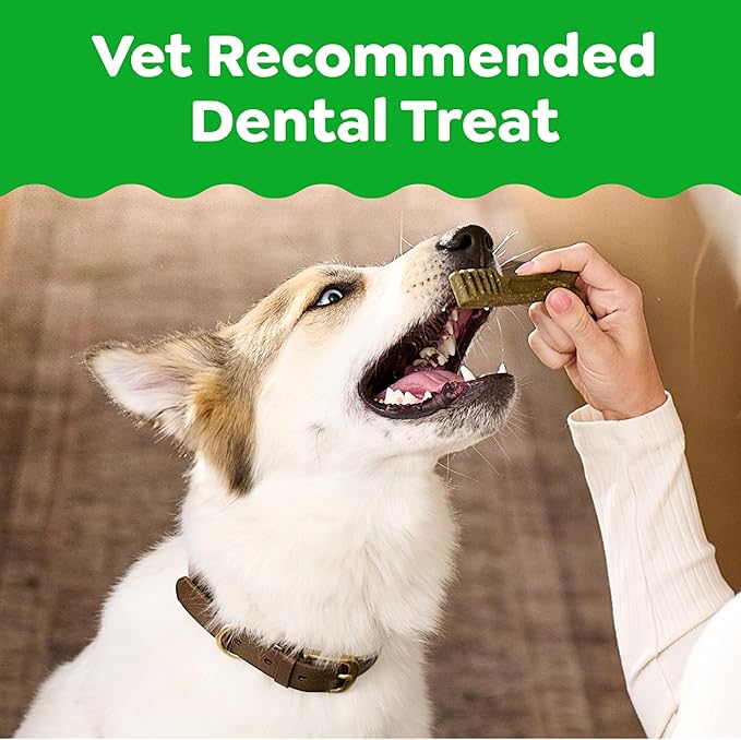 Greenies Veterinarian-Recommended Adult Natural Dental Dog Treats Teenie Size, Dog Dental Chews, Original Flavor, 54 oz. Pack, 192 Count