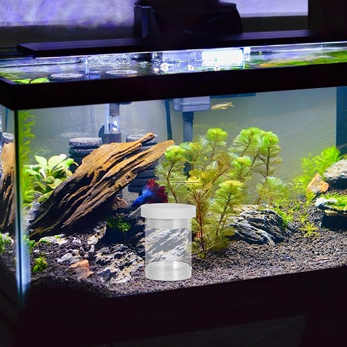 POPETPOP Fish Breeding Isolation Box Floating Fish Incubator Hatchery Mesh Divider for Guppy and Small Juvenile Aquarium Use White Small