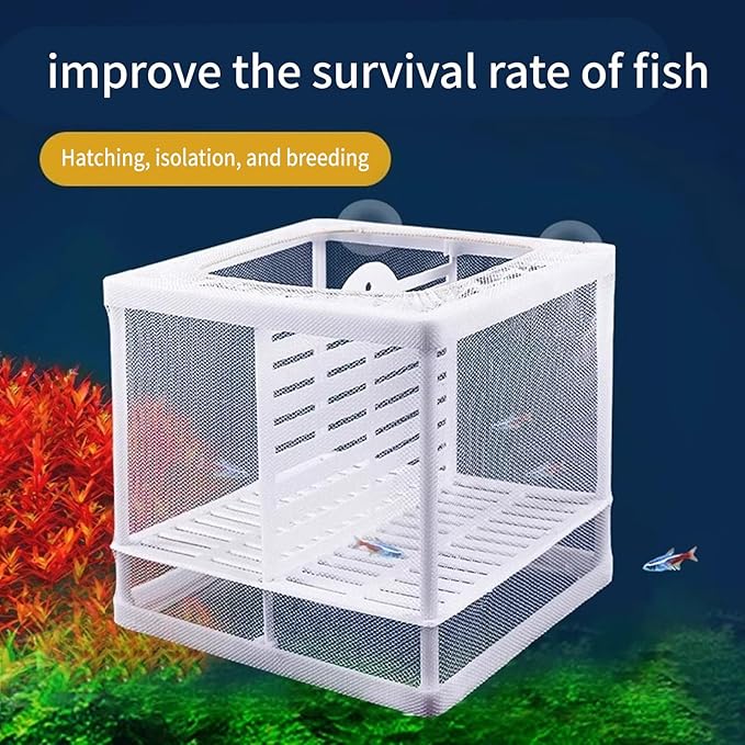 2PCS Protective Aquariums Breeding Cage Netting Nursery Tanks with Suction Cup for Fry Rearing and Secure Observation Fish Breeding Box with Suction Cup