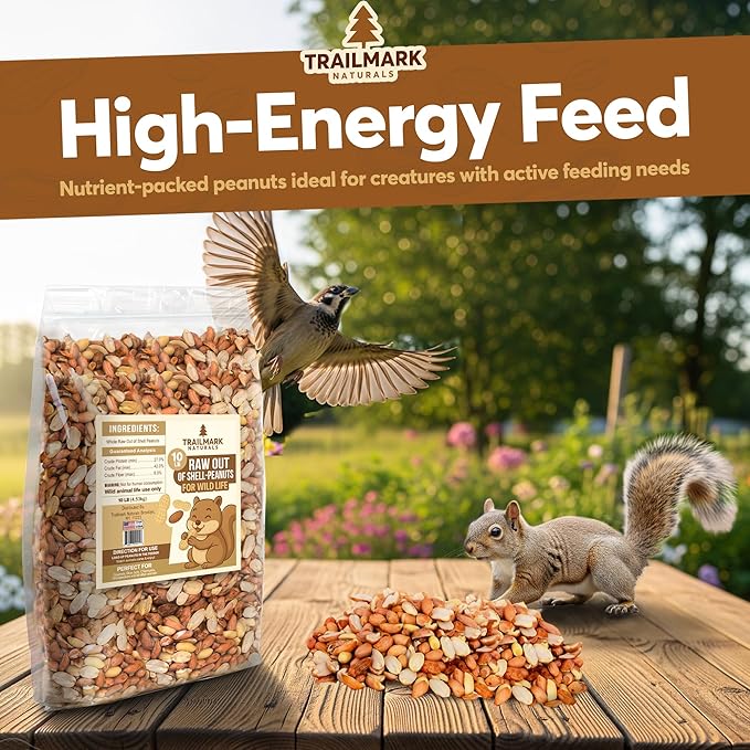 10 LB - Raw Shelled Peanuts For Squirrels, Out of Shell Peanuts For Birds and Wildlife- Squirrel Food, Wild Bird Seed -Grown in The USA