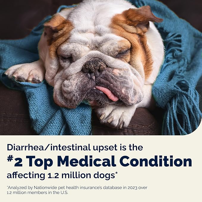 Vetnique Glandex Daily Probiotics for Dogs with Prebiotics to Support Gut Health with Fiber and Digestive Enzymes, Dog Probiotic Chews or Powders (60ct Chews, Bacon Chews)
