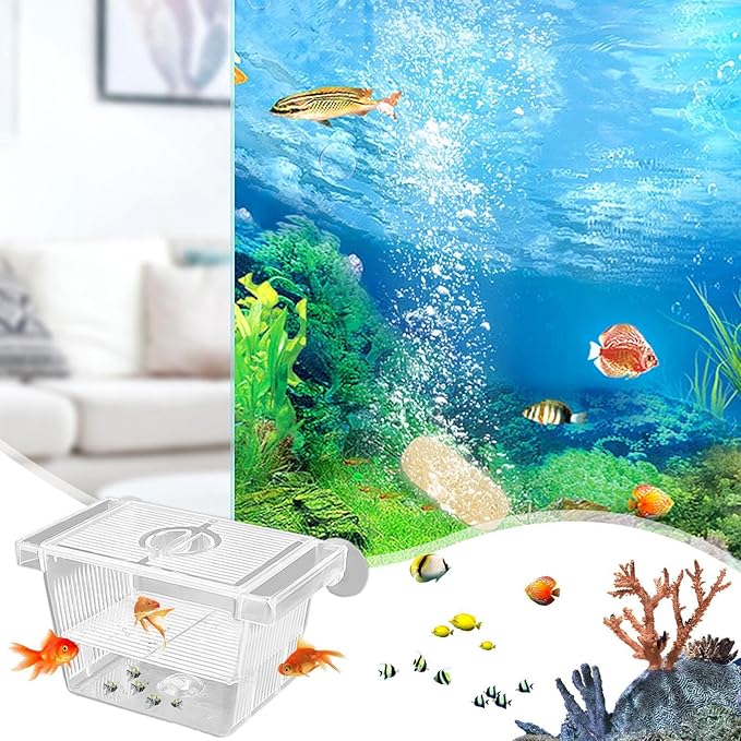1/2 Fish Breeding Box - Aquarium Breeder Box, Fish Acclimation Box with 2 Suction Cups | Easily Install Fish Isolation Box, Acrylic Aquarium Hatchery Incubator for Baby Fishes Shrimp Betta Guppy