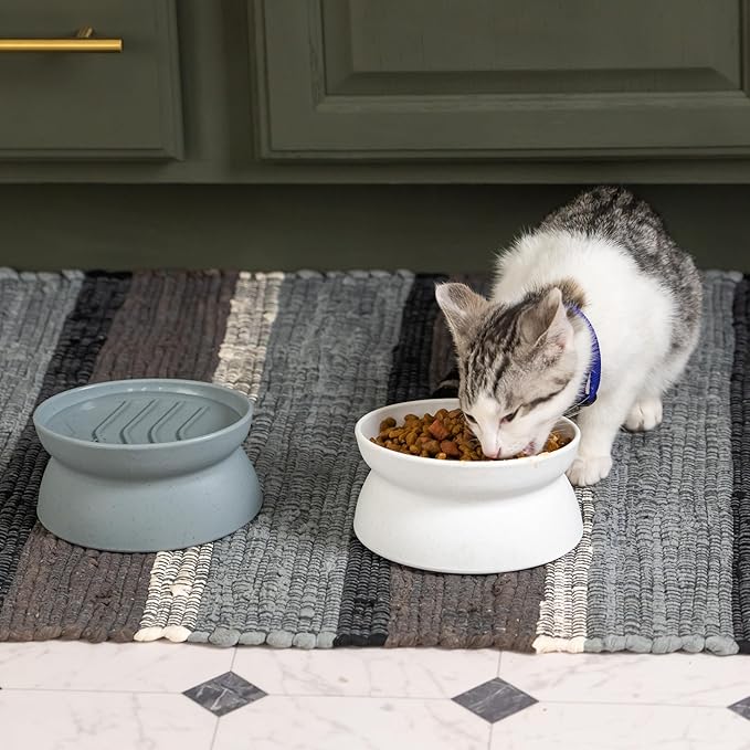 Kitty City Elevated Slow Feeder Cat Bowls (Set of 2), Whisker-Friendly Raised Cat Food Dishes with Ridges, Helps Reduce Fast Eating & Digestion Issues, Dishwasher Safe, 6.5 oz – White & Gray