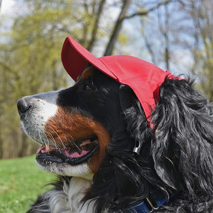 Littlearth NFL Pet Baseball Hat - Officially Licensed Teams, Sizes: XS - XL
