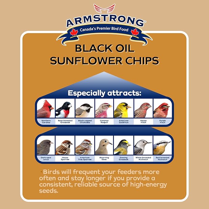 Armstrong Wild Bird Food Black Oil Sunflower Chips, 20 Pounds - for Northern Cardinals, American Goldfinches and Black-Capped Chickadees - Ideal for Outside Feeders