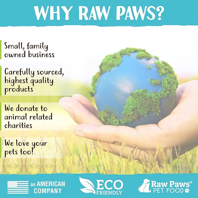 Raw Paws 10-inch Compressed Rawhide Bones for Dogs, 10-Count - Packed in USA - Long Lasting Dog Chews - Natural Pressed Rawhides - Large Dog Bones - Raw Hide for Aggressive Chewers