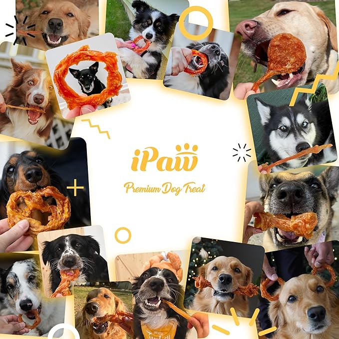 iPaw Turkey Tendon for Dogs, Ingredient Sourced from USA, Hypoallergenic, All Natural Human Grade Puppy Chew, Dog Treats for Signature Series, Rawhide Alternative, 4 Units/Pack Lollipop (Small)