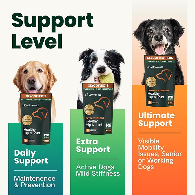 VetriScience Ultimate Strength Hip & Joint Supplement for Dogs, GlycoFlex Plus – MSM, Chondroitin & Green-Lipped Mussel Chews for Mobility, Flexibility, Comfort & Support, Bacon Flavor, 60 Cnt
