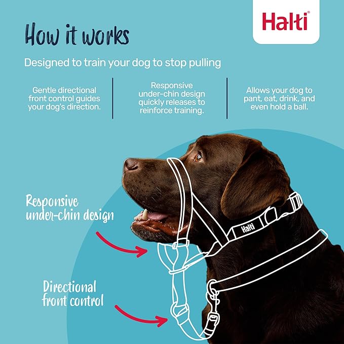 Halti Headcollar - Stop Your Dog Pulling on The Leash. Adjustable, Reflective and Lightweight, with Padded Nose Band. Dog Training Anti-Pull Collar for Small Dogs (Size 1, Deep Walnut)