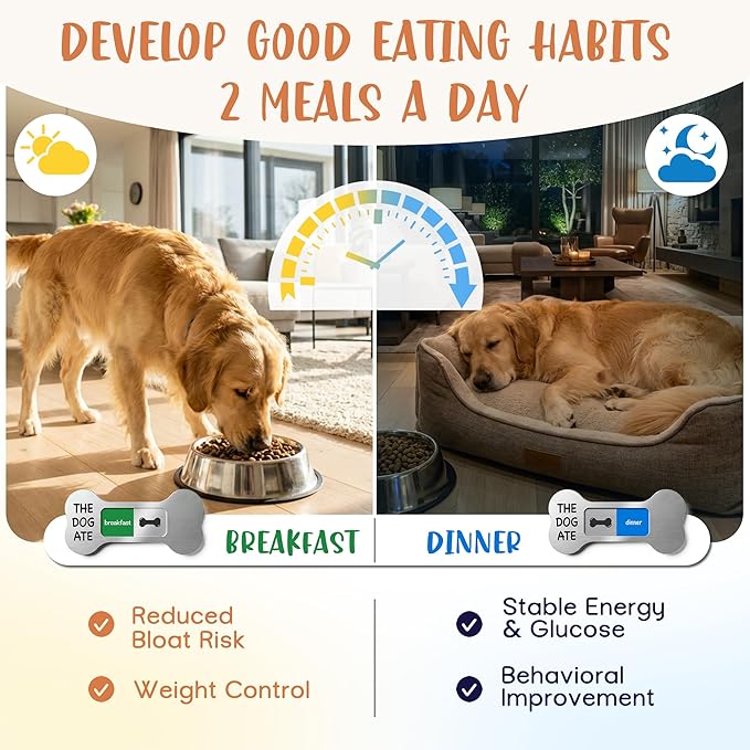 Dog Feeding Reminder Supplies with Magnet, Bone-Shaped Design Brushed Silver, Acrylic Pet Nursing Schedule for Breakfast & Dinner, Feed Slider with Bone Pattern, 2 Stickers 5.5 x 2.6inch