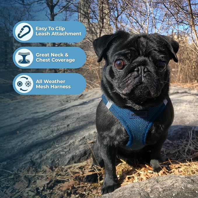 Best Pet Supplies Voyager Step-in Air Harness - All Weather Mesh, Reflective, No Pull Harness for Dogs, Cats - Secure with Hook & Loop Fastener, Buckle, Double D-Rings - Blue, XL