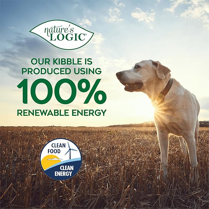 Nature’s Logic Pure Naturals™ 100% Natural Beef Recipe Synthetic-Free Dry Dog Food, 4.4 lbs