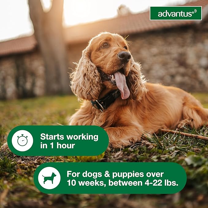 Advantus Dog Fast Acting Oral Flea Treatment Soft Chews Dogs 4 - 22 lbs. | 7 ct.