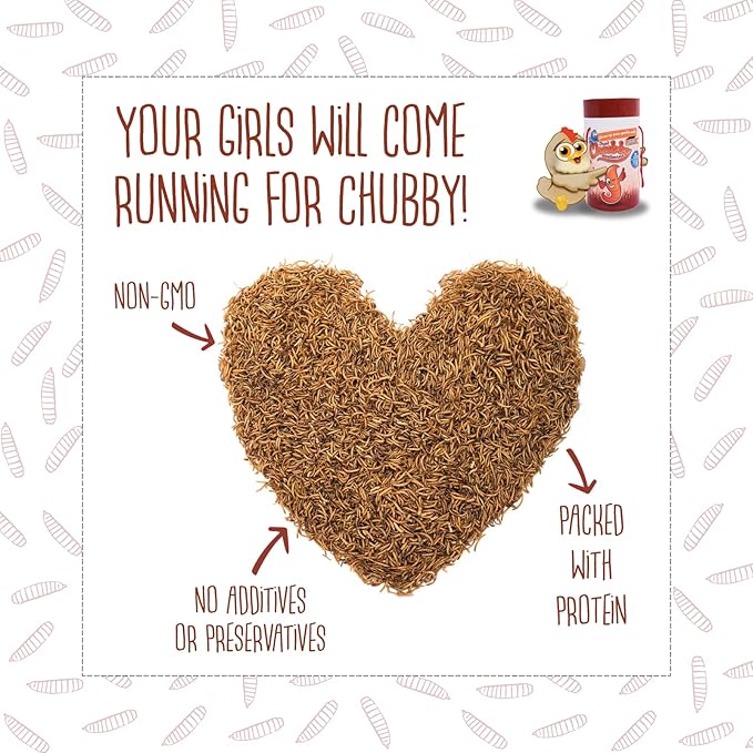 Chubby Dried Mealworms | 22 lbs | High-Protein Non-GMO Treats for Chickens, Ducks, Wild Birds & Backyard Pets