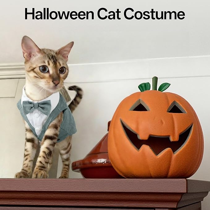 PUMYPOREITY Cat Tuxedo Suit Formal Wear with Bow Tie, Soft Skin-Friendly Cat Costumes for Cats Only, Elegant Outfit for Male Female Cats, Perfect for Wedding Birthday Photo Shoots, L, Grey