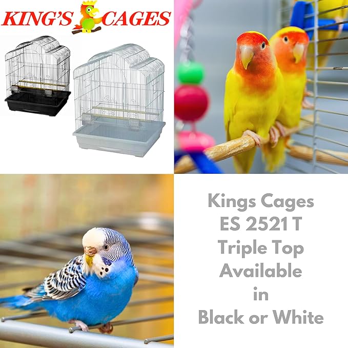 Kings Cages Model ES 2521 T Triple Top Bird Cage 25" x 21" x 30" Powder-Coated Non-Toxic Spacious Cage for Cockatiels Finches Parakeets Canaries and Similar Breeds (White)