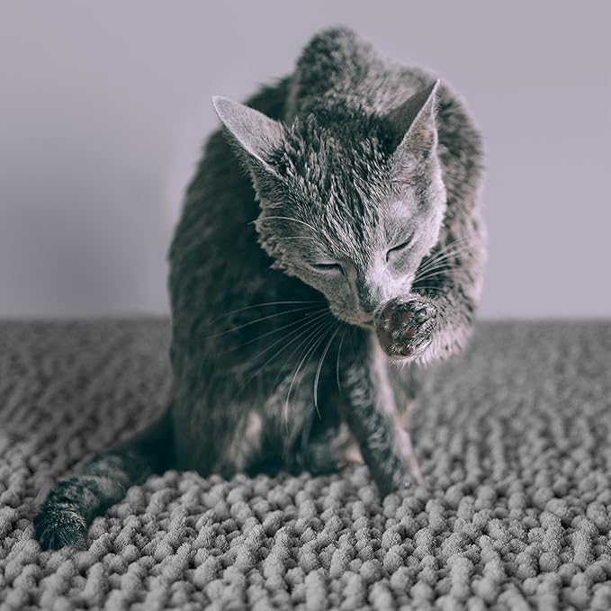 CatGuru Cat Litter Mat, Medium, Extra Large, XXL, Waterproof Litter Box Mat, Non Slip Kitty Litter Mat, Machine Washable Litter Trapping Mat, Soft Litter Tray, Cat Stuff (XXL, Gray/Heavy-Duty)