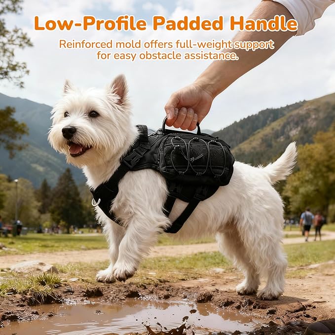 Medium Dog Harness Backpack, No Pull Adjustable Dog Vest with Handle & Leash Ring, Lightweight Dog Backpack with Side Pockets for Walking, Training & Day Hikes, Black, M