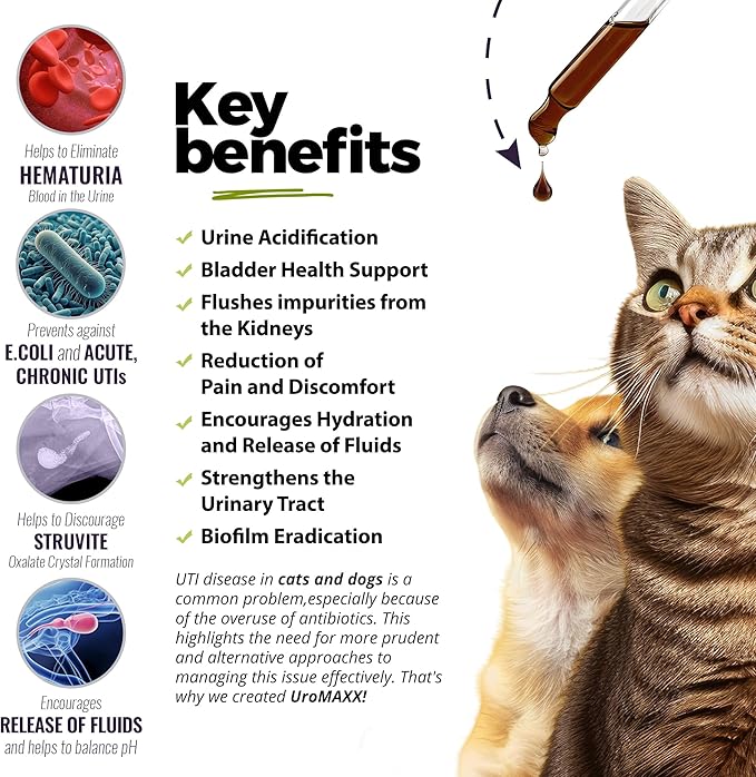 Cat & Dog Urinary Tract Treatment, Bladder & Kidney Support for Dogs and Cats, Powerful Yet Gentle Pet Care, with Liquid Cranberry & Glucosamine, Chicken Flavor, 6 oz Bottle, 3 Pack